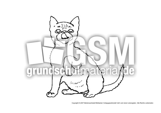 Katze-10.pdf
